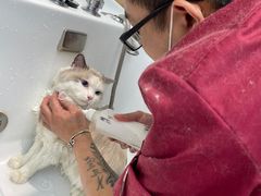 -FAELING PETS美天灵宠物(富力广场店)