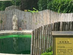 -大连金石滩绿发温泉假日酒店
