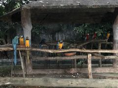 -清迈夜间动物园