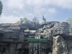 -自然谷恐龙园