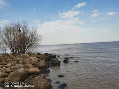 -上海吴淞炮台湾国家湿地公园
