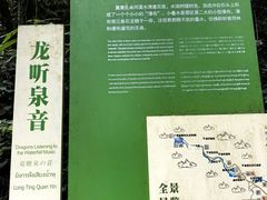-莫里热带雨林景区