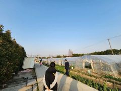 -小鱼草莓采摘园农家乐·小鱼餐厅