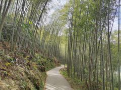 -千泷沟大瀑布旅游区