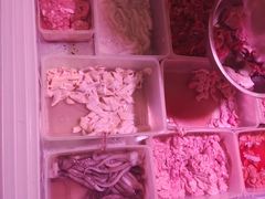 -周良天山牛杂城(天山路总店)