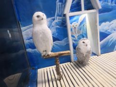 -成都浩海立方海洋公园