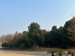 -盘龙城遗址博物院