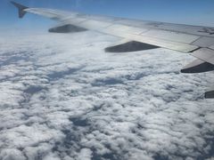 -郑州新郑国际机场-T2航站楼