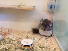 -龙猫仔乐园(惠福东路店)