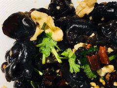 -洞庭家宴·头牌甲鱼(广渠门店)