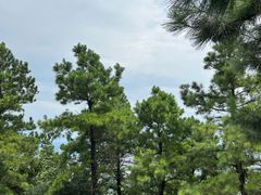 -敬亭山风景名胜区