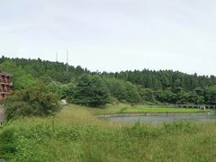 -武陵山森林公园