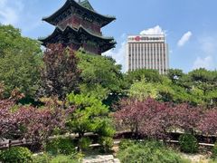 -迎泽公园