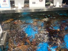 -盒马鲜生(189购物中心店)