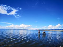 -青海湖国家重点风景名胜区