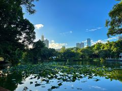 -人民公园(罗湖区)