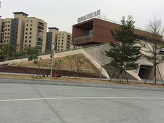 -飞凤山奥体公园