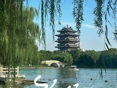 -济南大明湖景区