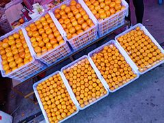 -胡家庙水果批发市场