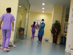 -瑞鹏宠物医院·爱宠堂·骨外专科(西荷分院)