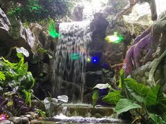 -多彩贵州城极地海洋世界