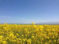 -青海湖国家重点风景名胜区