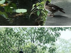 -郭庄景区