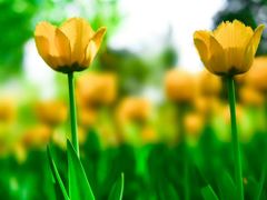 -长春公园(普阳街道)