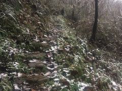 -秦岭风景区