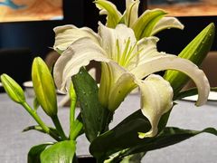 -喜湘宴·精致湖南菜(和平西桥店)