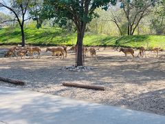 -北京野生动物园