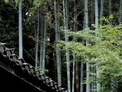 -杭州植物园