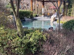 -麦积山温泉