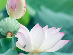 -王虎成猪排骨非物质文化遗产传承馆