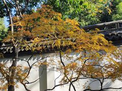 -秋霞圃