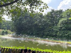 -广州长隆飞鸟乐园