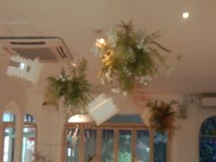 -春树下·树屋花房西餐厅(罍街AS1980店)