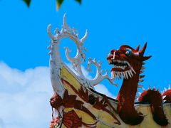 -悦城龙母祖庙