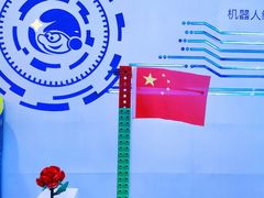 -蓝精灵创客少儿编程(百步亭中心)