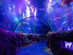 -沈阳海洋探索中心