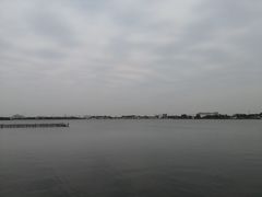 -鹅湖玫瑰文化园