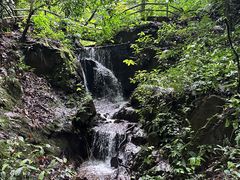 -莫里热带雨林景区