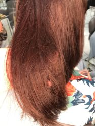 -潘多拉Hairsalon