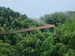 -蜀南竹海景区