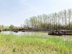 -溱湖国家湿地公园