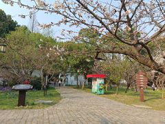 -苏州上方山国家森林公园