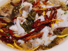 招牌老坛酸菜鱼-江渔儿酸菜鱼·拔草餐厅(虎门君乐汇店)