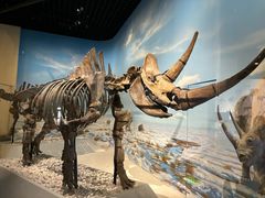 -国家自然博物馆