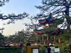 -大慈恩寺(大雁塔)
