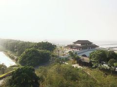 -大湾区中央湿地公园